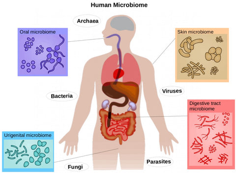 Personalised medicine and the microbiome