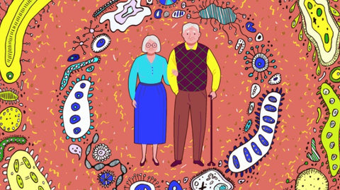 Gut Microbiome Implicated in Healthy Aging and Longevity